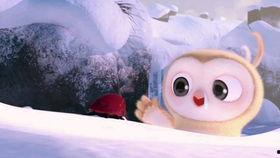 男女比赛吃瓜视频,吃瓜大赛精彩瞬间大盘点