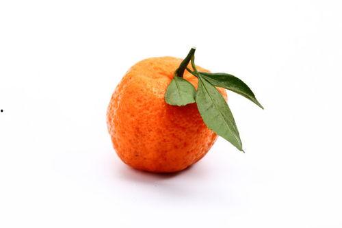 橘子吃瓜素材视频无水印,趣味横生的无水印素材视频