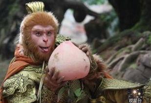 悟空吃瓜事件真相视频大全,揭秘真相背后的视频大全