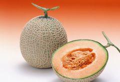 挑战吃冰镇哈密瓜的视频