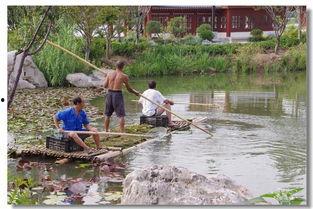 韩城西塬吃瓜事件视频最新,一场引发热议的街头冲突瞬间