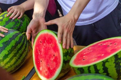 云南各大学吃瓜视频,吃瓜视频里的校园美食盛宴