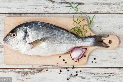 瓜叶鱼会吃吗有毒吗视频,揭秘其是否有毒