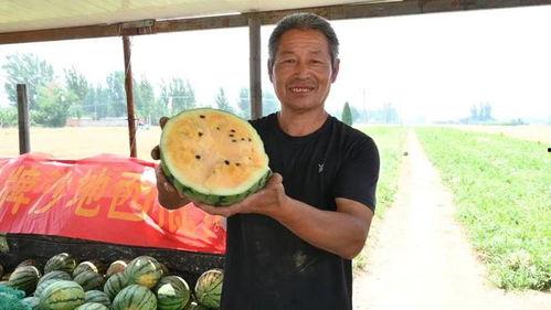 株洲小伙吃瓜视频大全最新,趣味横生，笑料百出