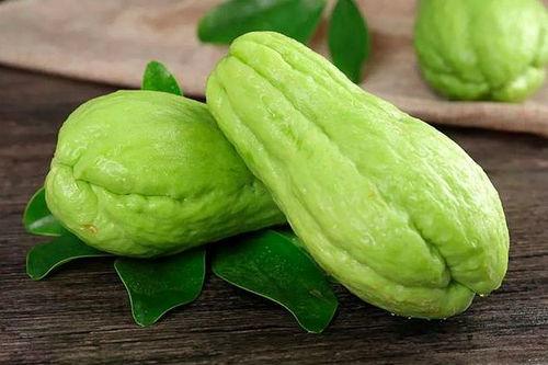 结瓜的瓜花可以吃吗视频,哪些结瓜瓜花可食用?