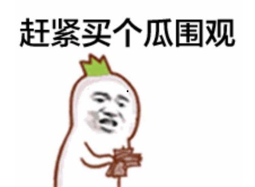 没有发声的吃瓜群众视频,吃瓜群众视角下的社会百态