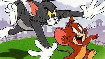 猫和老鼠吃瓜看热闹视频,吃瓜看热闹,欢乐瞬间尽收眼底