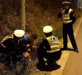 成都路边情侣吃瓜视频,甜蜜瞬间引网友热议