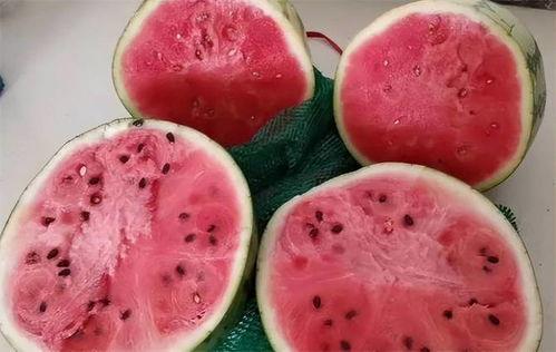 孩子吃麒麟瓜视频教程大全,孩子喜爱的夏日美味制作攻略